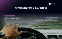 量身定制的取支撑